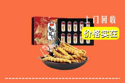 十堰郧西县回收冬虫夏草